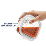 Premium Lunch Box - Microwave, Dishwasher & Freezer Safe | Set of 3 containers | 320 ML Each